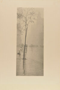 Spring Showers, New York