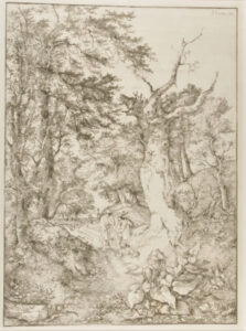 Sandy Road through Woodland, near Norwich