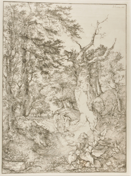 Sandy Road through Woodland, near Norwich