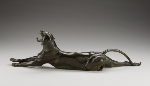 Yawning Tiger - Image 2