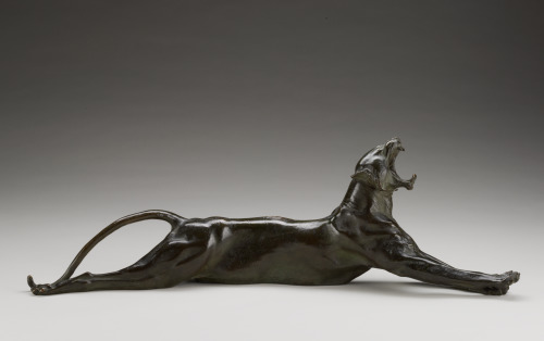 Yawning Tiger - Image 3