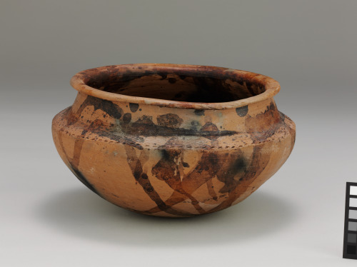 Pot