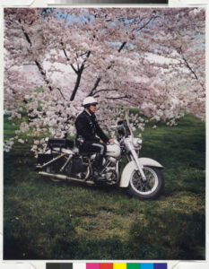 Springtime, Washington, D.C.