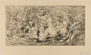 Mother Cat and Kittens