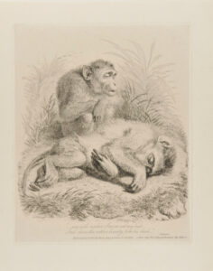 “–now will canker Sorrow eat my bud”