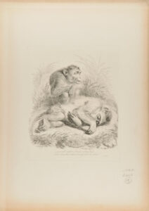 “–now will canker Sorrow eat my bud”