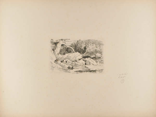 The Mountain Torrent