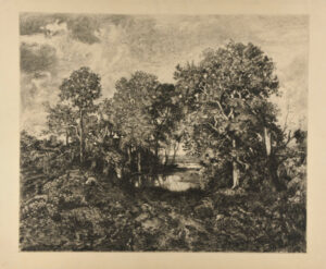 Une Mare – Forêt de Fontainebleau