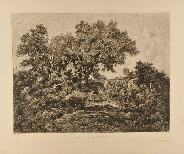 THE HUT, FOREST OF FONTAINEBLEAU