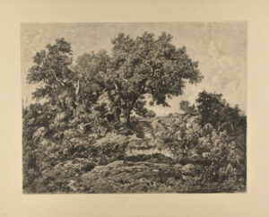 La Hutte – Forêt de Fontainebleau