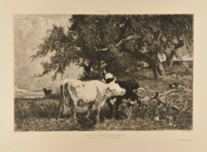 La Source de Neslette, en Normandie