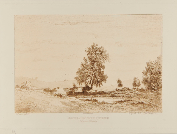 A BIRCH TREE IN THE GORGES D'APREMONT