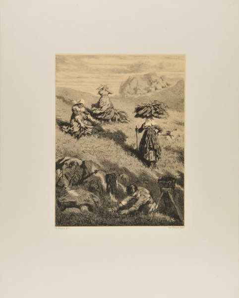 LE SOIR DANS LES BRUYÈRES, AUVERGNE