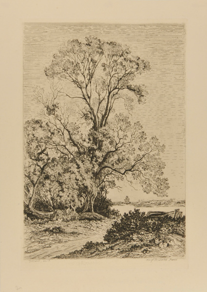 Les Saules à Neuilly