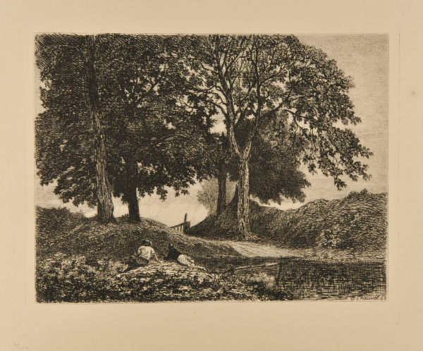 UNDER THE WALNUT TREES