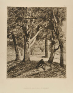 Carrefour des Gorges d’Apremont