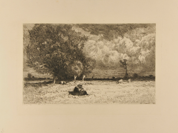 THE BANKS OF THE LOING