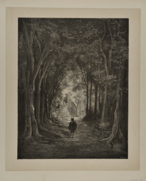 Boy Approaching a Stairway in an Alley of Trees