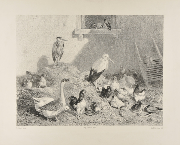 La Basse-cour de Remilly