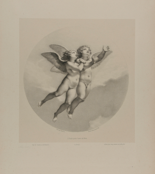 STUDY GUIDES THE FLIGHT OF GENIUS