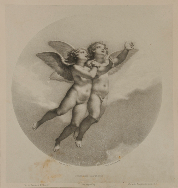 STUDY GUIDES THE FLIGHT OF GENIUS