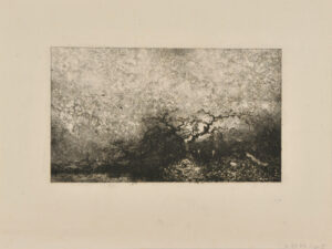 From Croquis de Voyage de 1843, plate 6: Underbrush