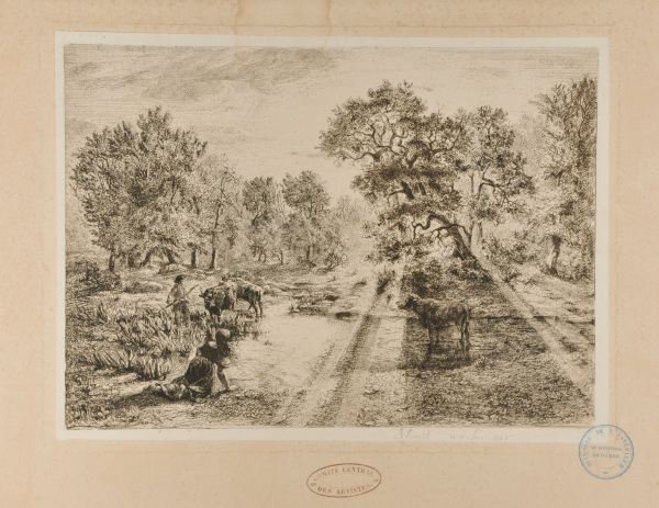 Boeufs traversant une mare