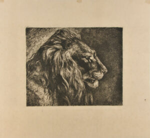 Tete de Lion (d’apres nature)