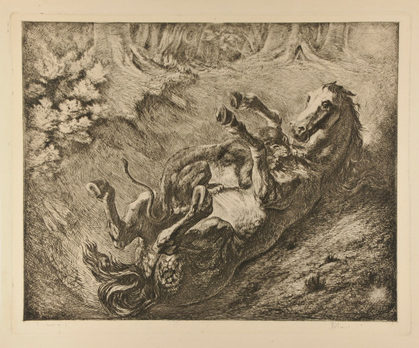 Tigre Devorant un Cheval