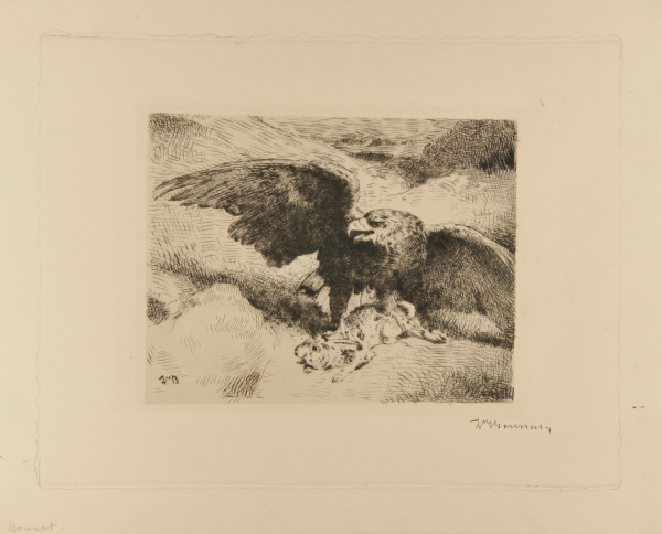 Aigle liant un lièvre