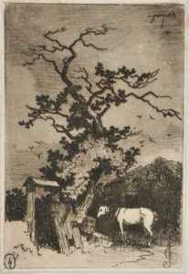 Horse Standing under a Tree