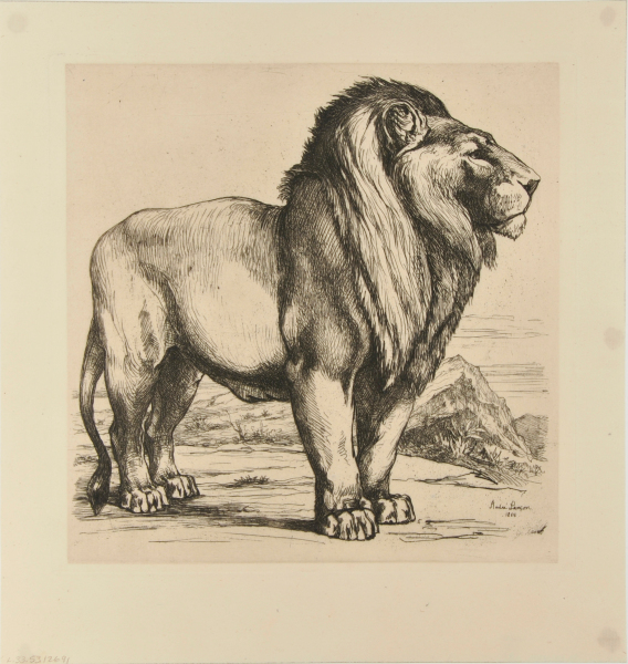 Lion