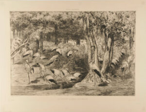 La Cigogniere au Jardin d’Acclimatation