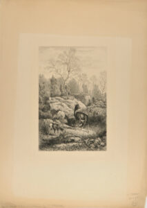 In the Forest of Fontainebleau