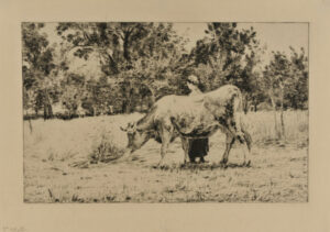 Un Verger au Printemps