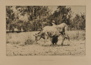 Un Verger au Printemps