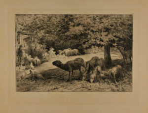 Les Moutons de Claudine