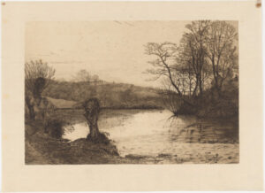 Pond Surrounded by Trees in Winter