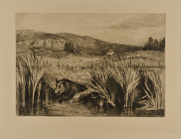 The Start of the Hunt