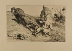 La Curée d’un lapin