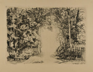 Landscape: Clearing Along a Woody Path