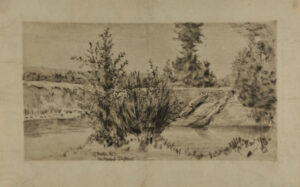 Two Stumps of Driftwood