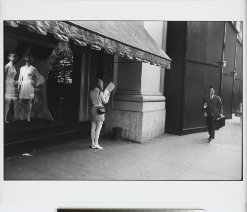 Untitled - Image 4