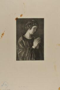 Saint Catherine from Sacra Conversazione