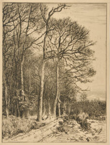 Paysage: Hiver – Lisière de forêt