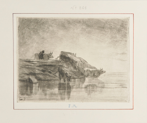 Vaches à l’abreuvoir