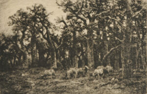 La Petite forêt: Hiver