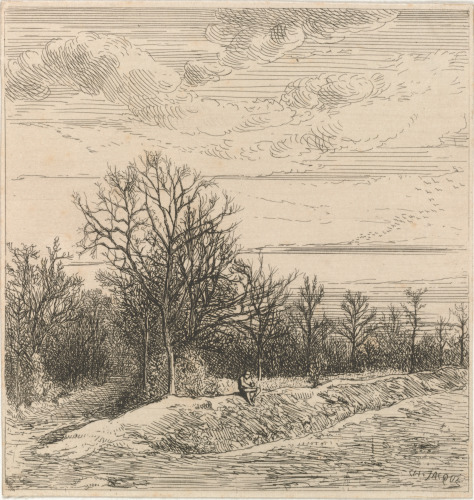 Lisière de Bois