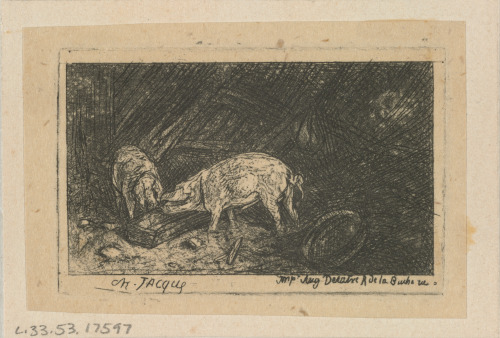 TWO PIGS