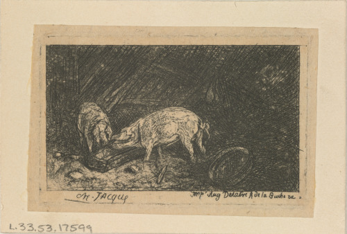 Deux cochons
